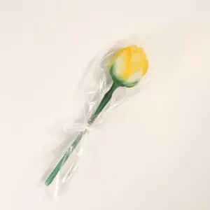 Forma zápich z formy č.681 růže 36119031 / vz