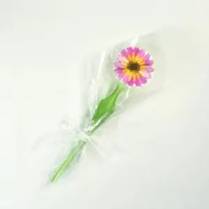 Forma zápich z formy č.870 kopr 36119032 / vz