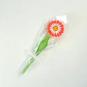 Forma zápich z formy č.870 kopr 36119032 / vz