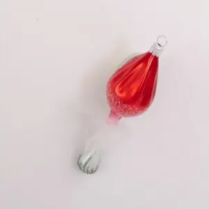 houba 66249089 / vzor