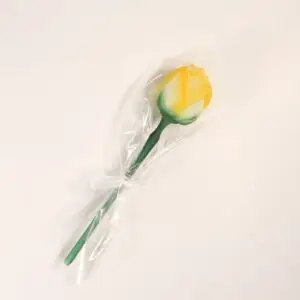 Forma zápich z formy č.681 růže 36119031 / vz