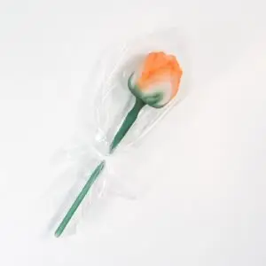 Forma zápich z formy č.681 růže 36119031 / vz