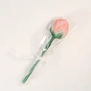 Forma zápich z formy č.681 růže 36119031 / vz