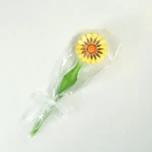 Forma zápich z formy č.870 kopr 36119032 / vz