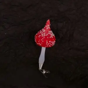 houba 65149002 / vzor