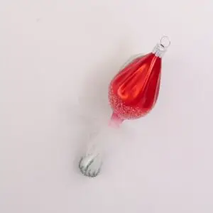 houba 66249089 / vzor